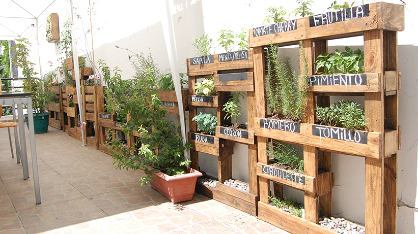 Taller de huertos verticales con botellas plsticas