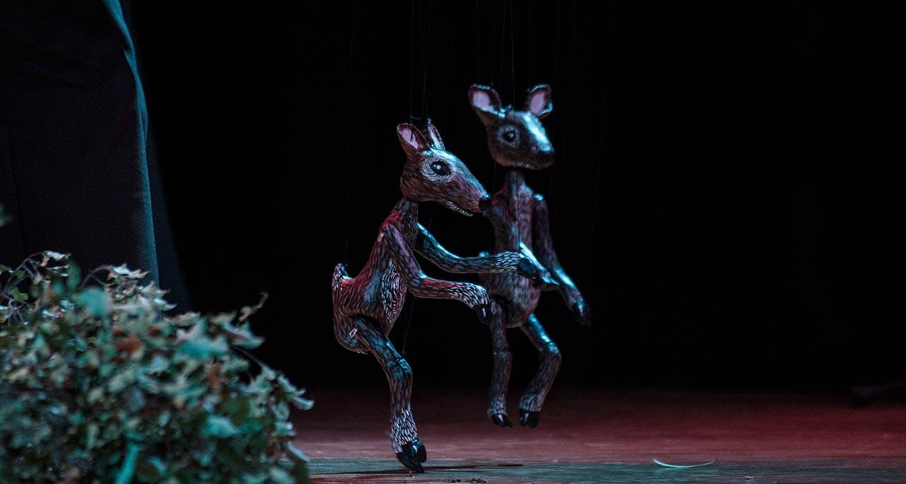 Cuentos de la Selva