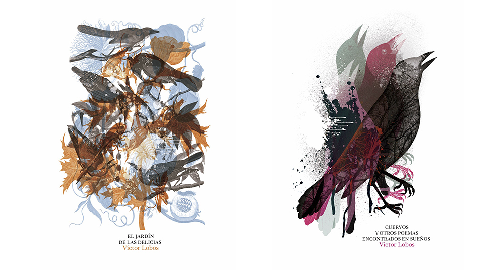 Presentacin de libro de poesa