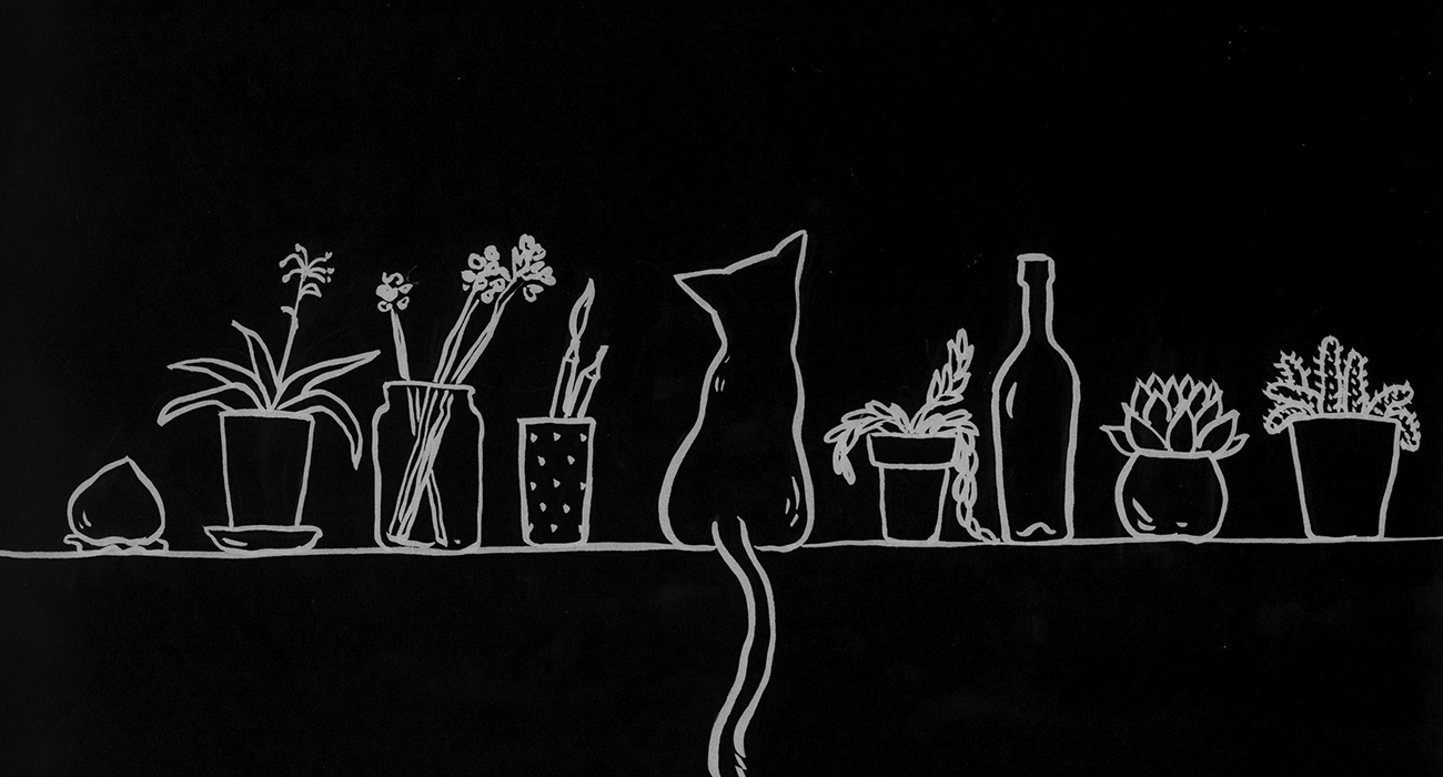 Taller desde la ventana