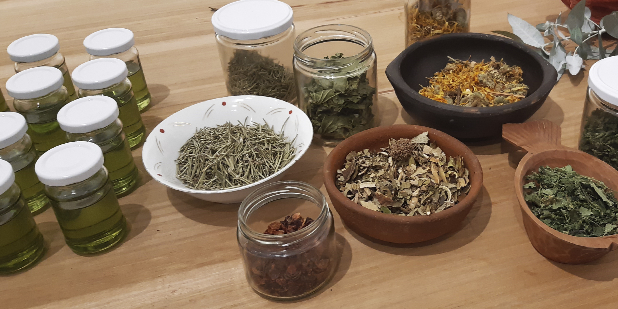 Taller de plantas medicinales y cosmtica natural