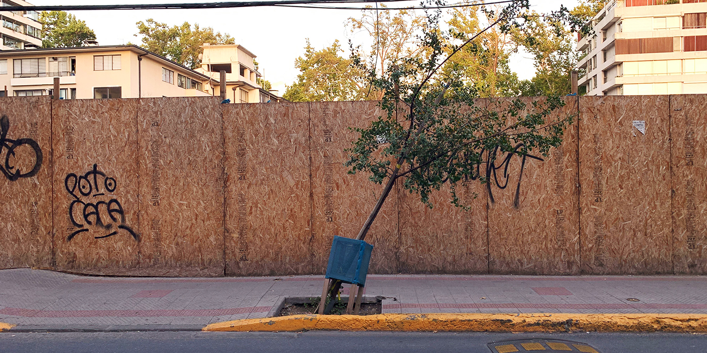 Arbolado urbano