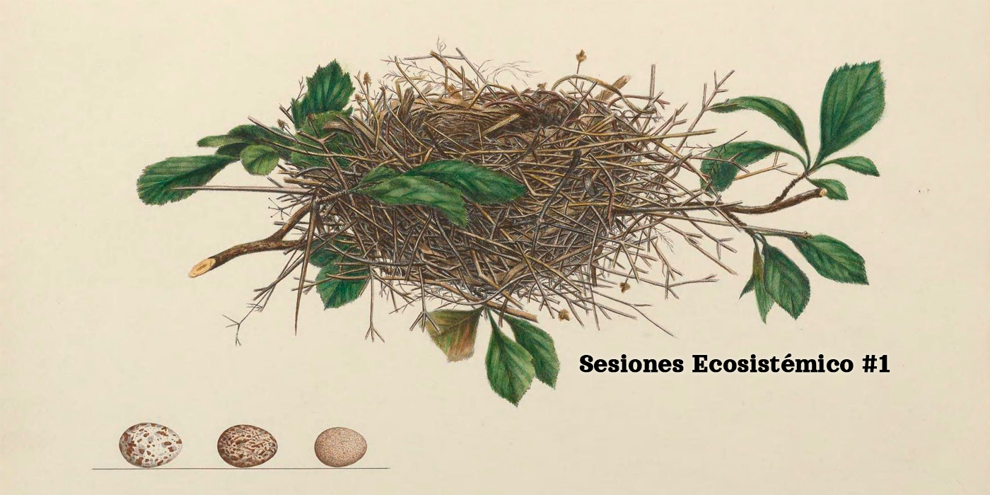 Arte y naturaleza en Laboratorio Ecosistmico