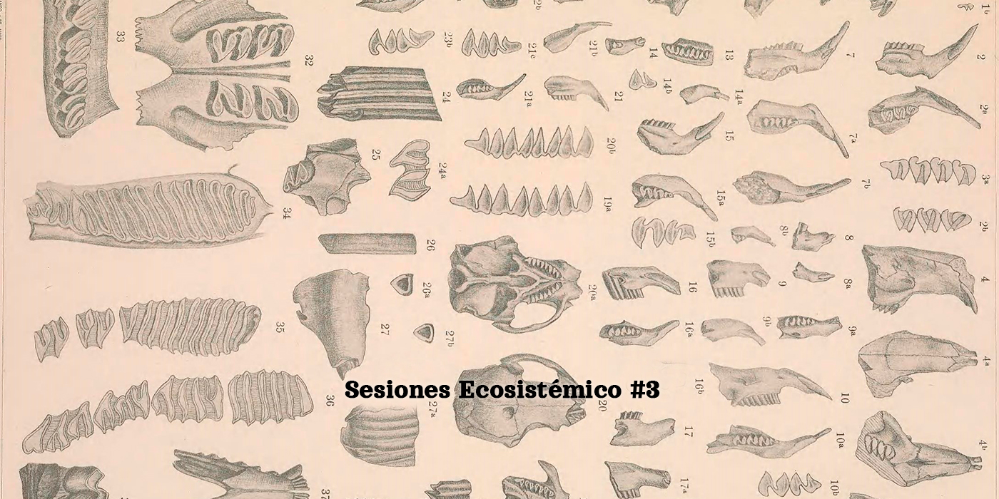Taxonoma en Laboratorio Ecosistmico