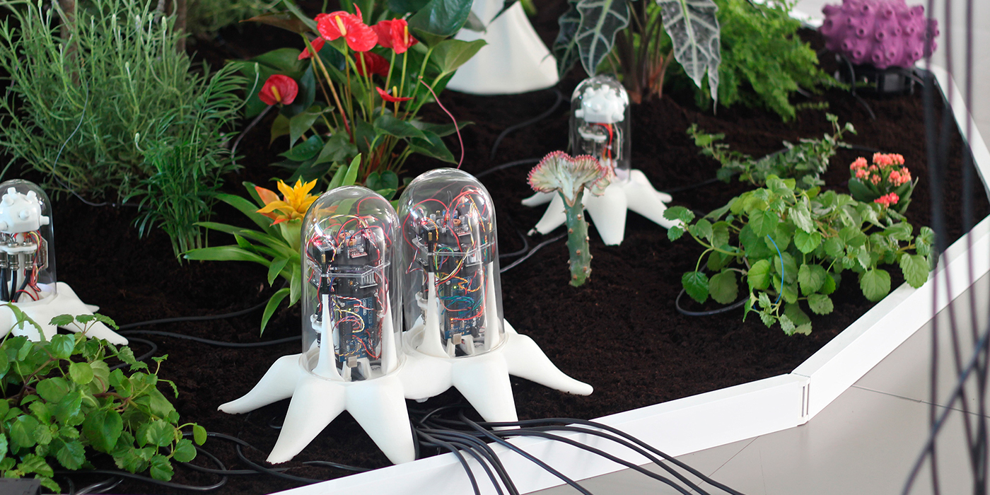 Clorofila y arduinos en Laboratorio Biotecnolgico