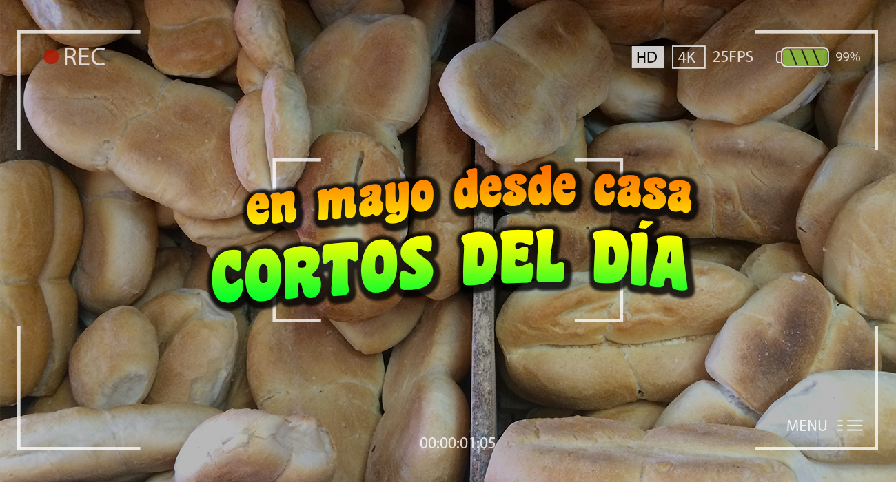Cortos del da mayo