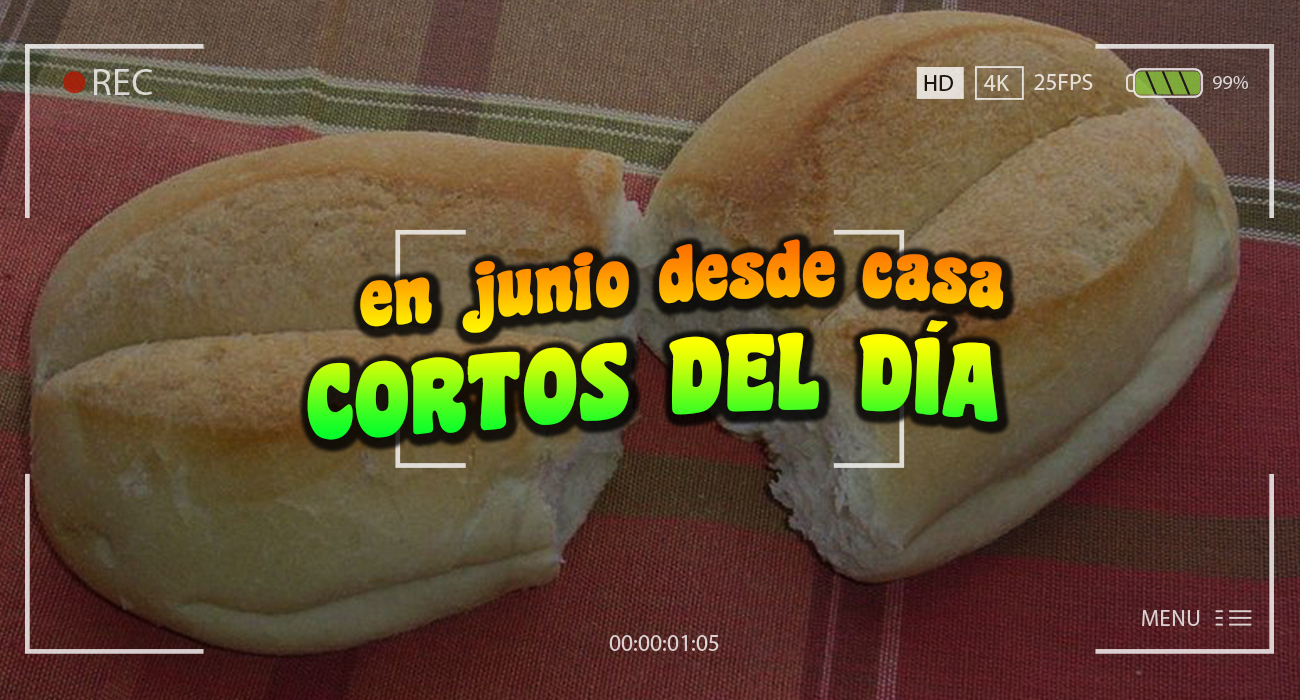 Cortos del da junio