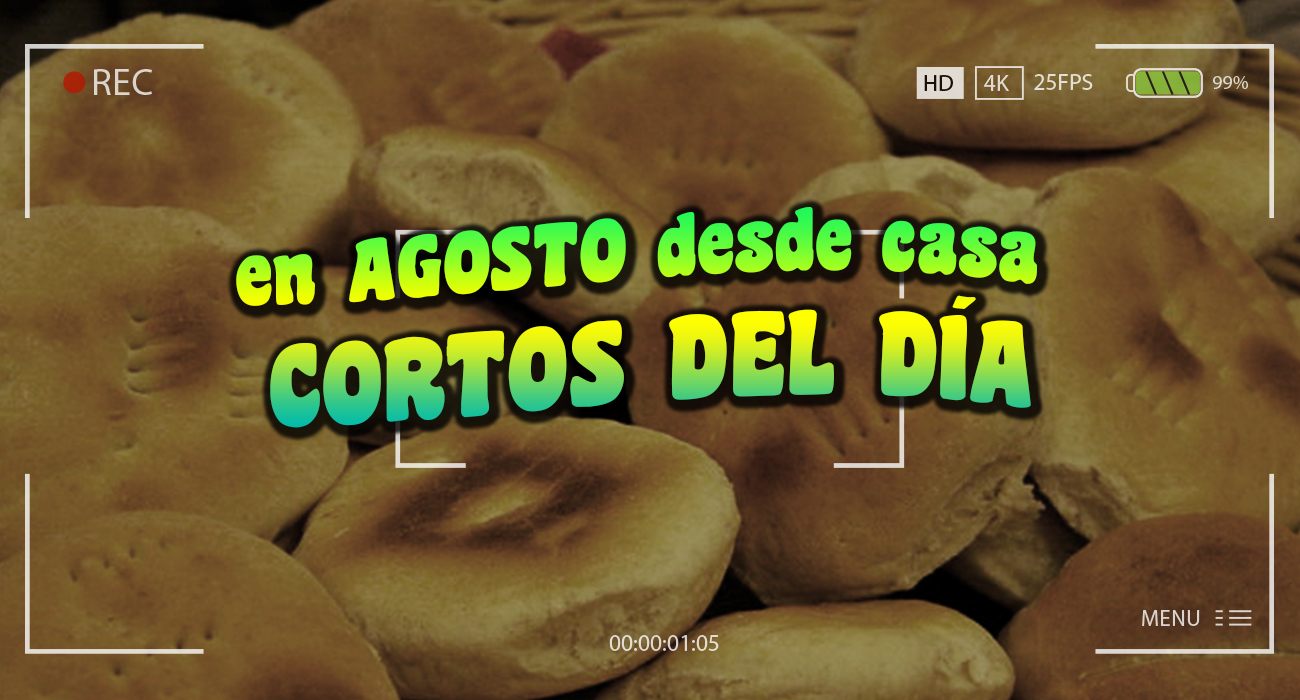 Cortos del da agosto