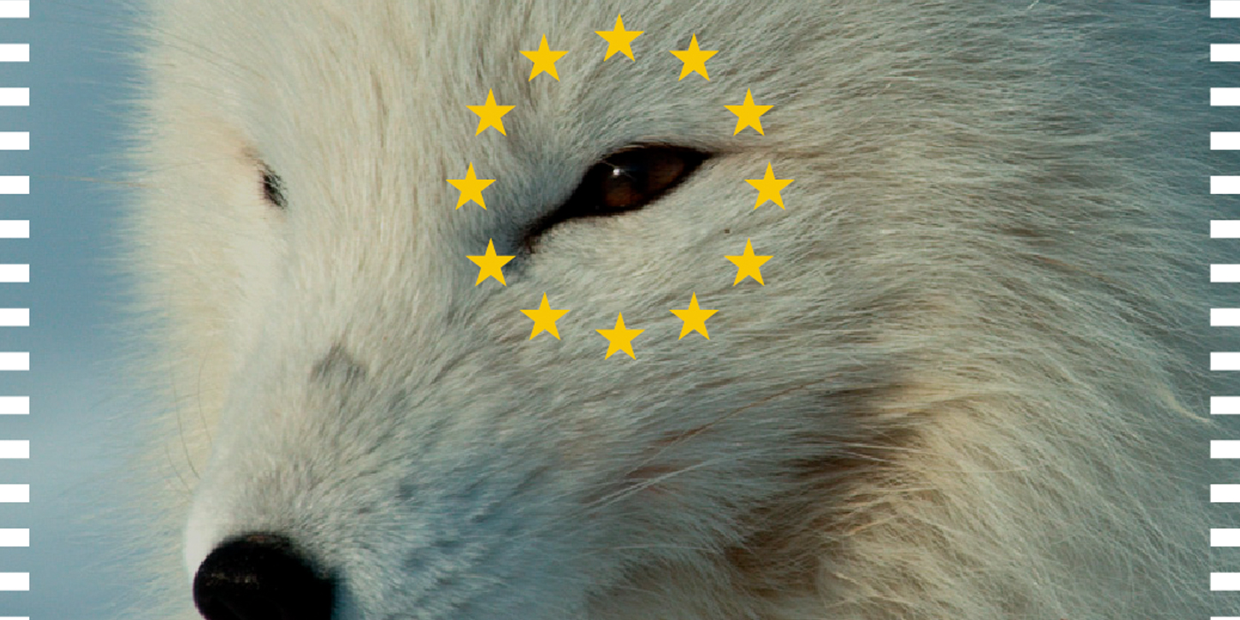 Eurocinema por el Clima