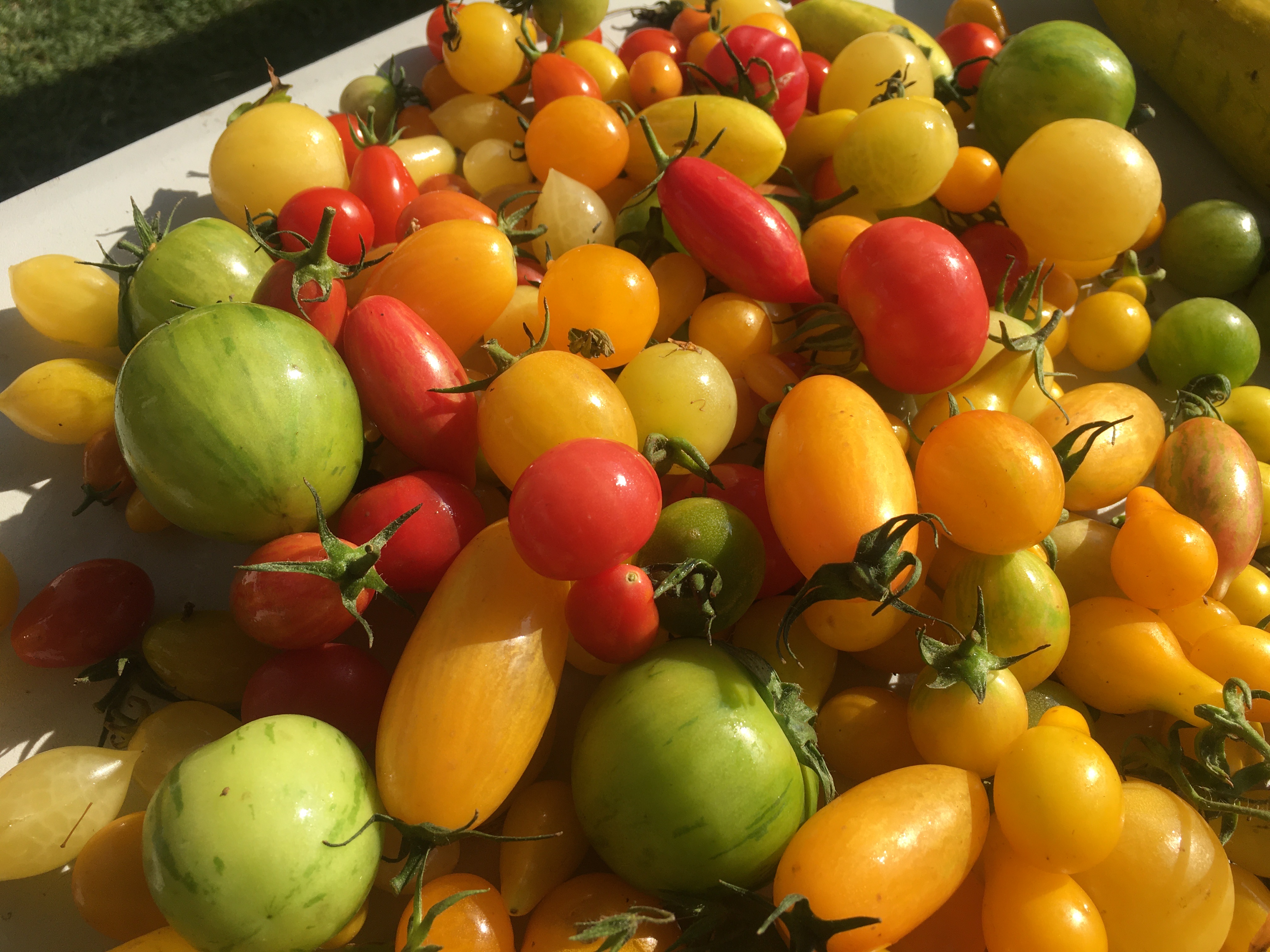 Taller “AUTONOMÍA Y BIENESTAR ALIMENTARIO PARA MUJERES” del proyecto “Germinando nuestro barrio”
