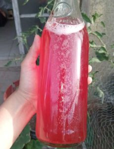 Taller de fermentado