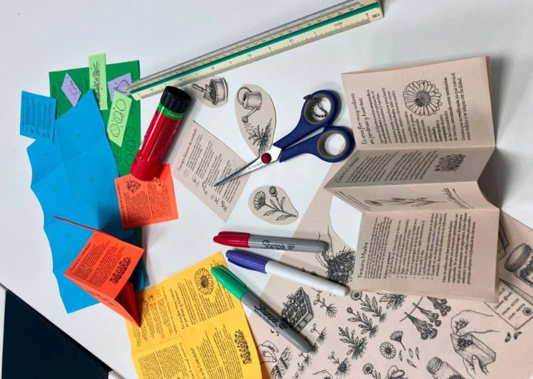 Taller de fanzine: memorias y saberes de la huerta